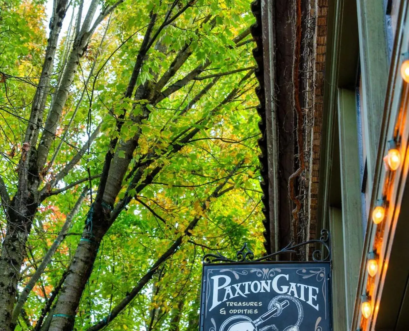 Stay Portland - The Tresor Suite- Cold Brew & Craft Beers Appartamento