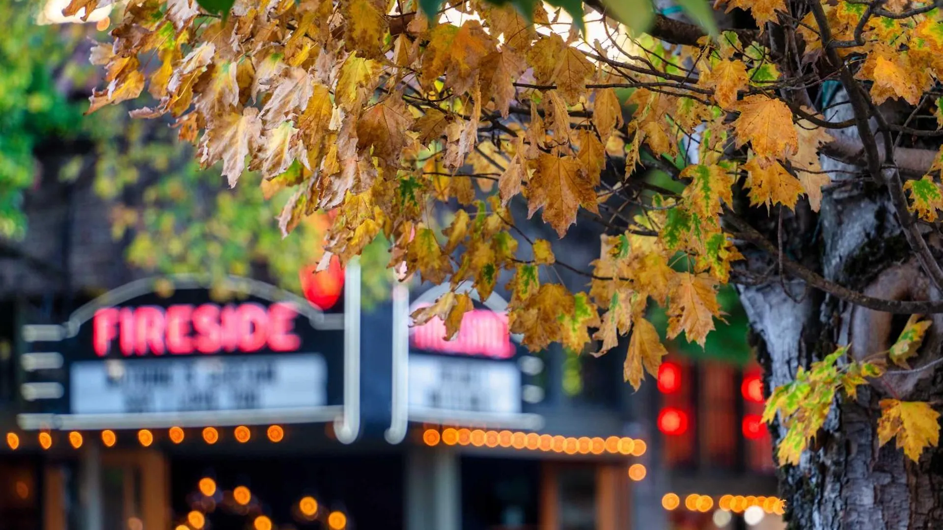 Stay Portland - The Tresor Suite- Cold Brew & Craft Beers